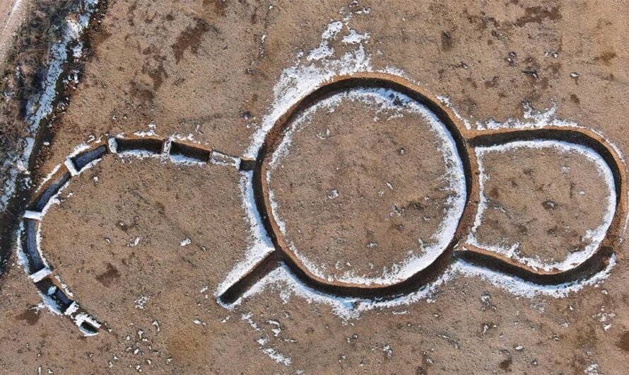Во Франции обнаружена «беспрецедентная» древняя структура неизвестного назначения