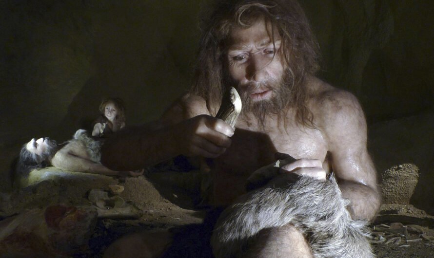 Новые открытия в пещере Шанидар проливают свет на жизнь и смерть неандертальцев