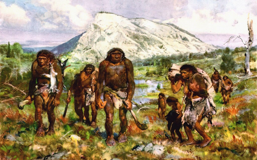 Исследование: уже 320 000 лет назад люди охотились на медведей ради шкуры