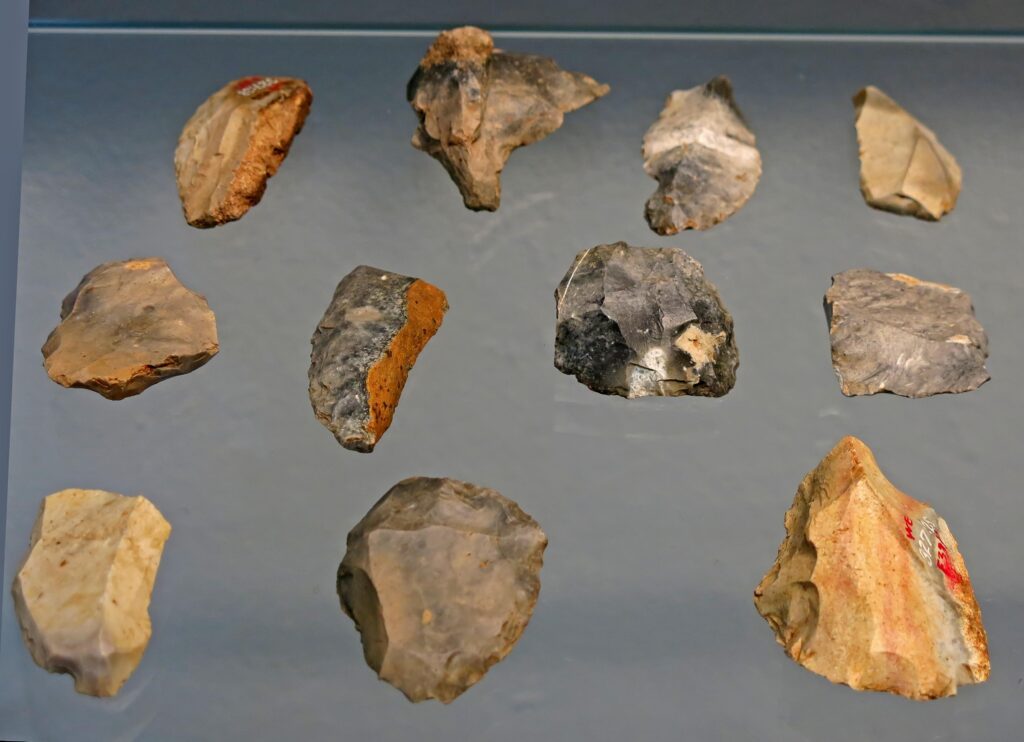 Каменные орудия труда, найденные в Бразилии, возможно, на самом деле были сделаны обезьянами
