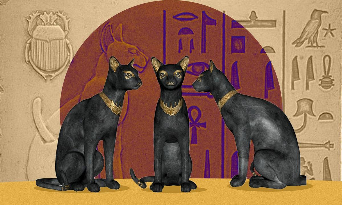 "Кошачий культ" в Древнем Египте