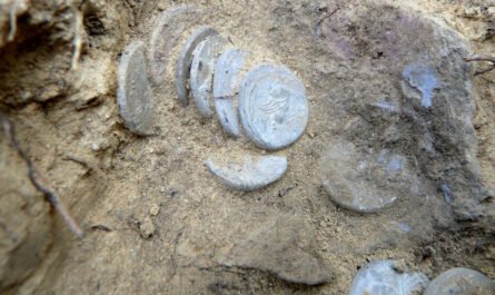 В лесу Тосканы обнаружили римские монеты