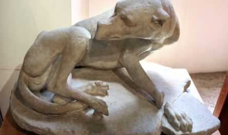 Собаки в Древнем Риме