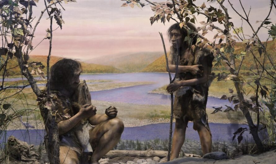 Кость возрастом два миллиона лет показала, что предки человека мигрировали в горы