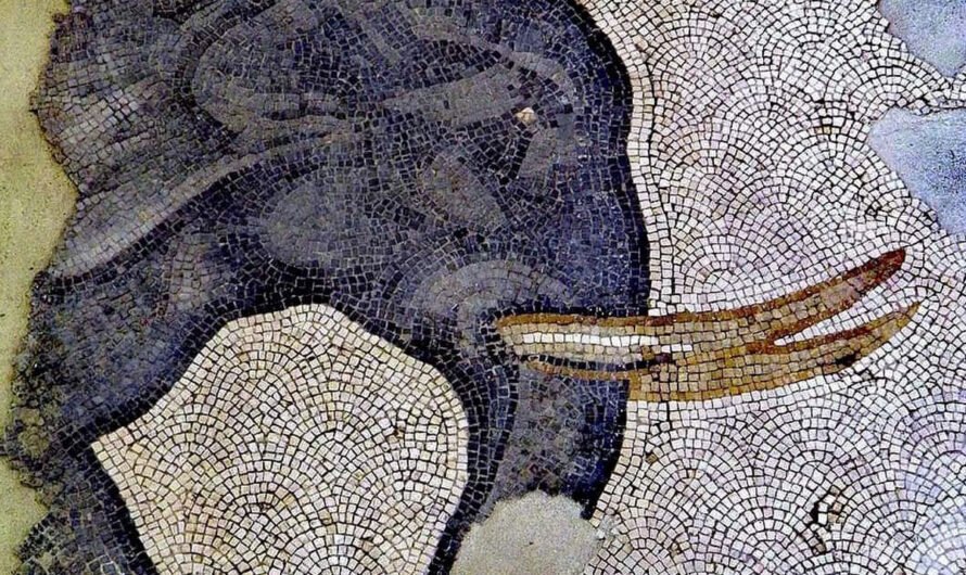 Фрагмент мозаичного пола Большого дворца