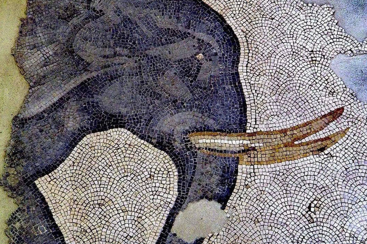 Фрагмент мозаичного пола Большого дворца