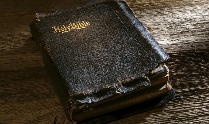 Кто решил, из каких книг должна состоять Библия?
