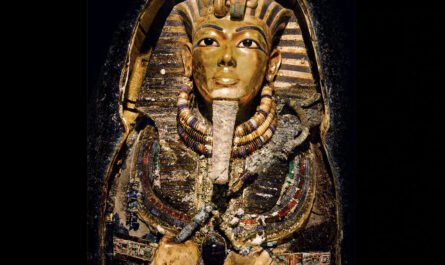 Фараон Тутанхамон мог быть убит бегемотом