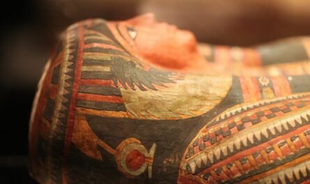 История обнаружения древнеегипетской мумии в глиняной "оболочке"