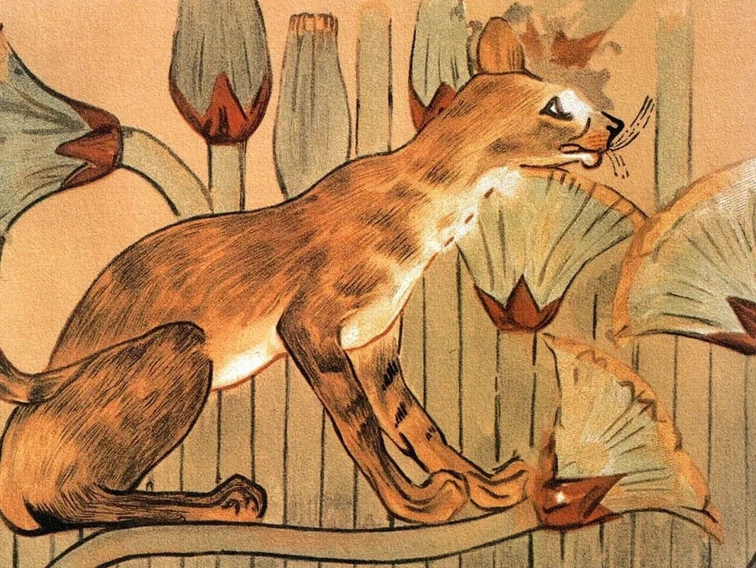 Древние египтяне были очарованы кошками