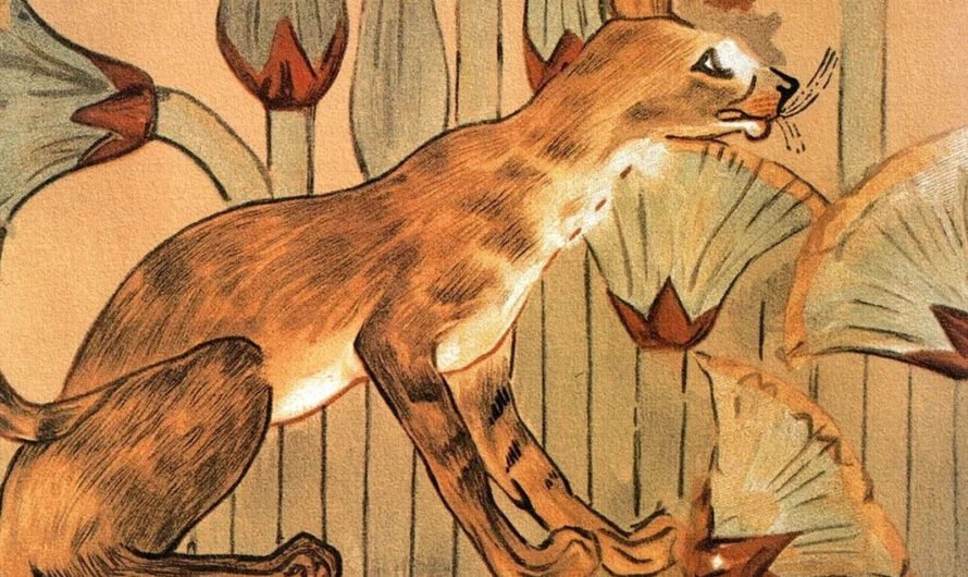 Древние египтяне были очарованы кошками