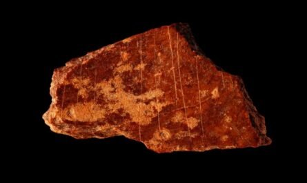 Рисунки на костях возрастом более 105 000 лет