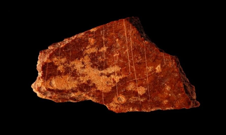 Рисунки на костях возрастом более 105 000 лет