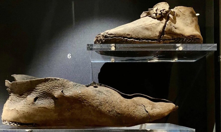 Кожаная обувь эпохи викингов