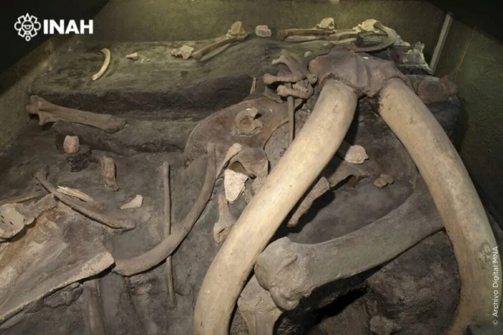 Охотничий лагерь ледникового периода — раннее свидетельство охоты на мамонтов в Мексике