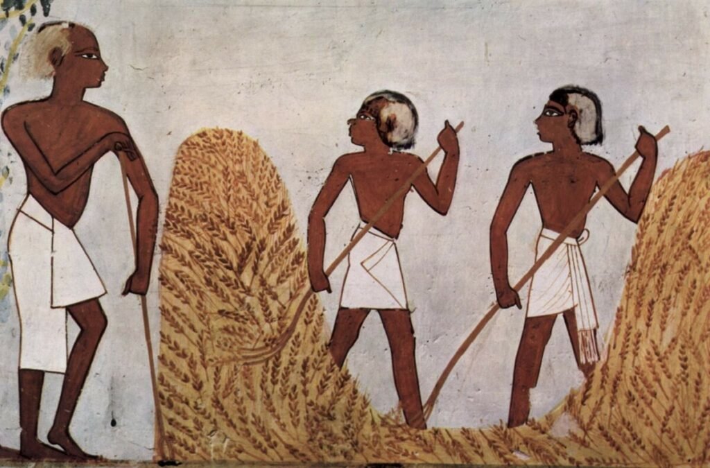 Сельское хозяйство Древнего Египта