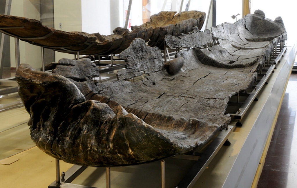 7000-летние каноэ свидетельствуют о мореходстве в эпоху неолита