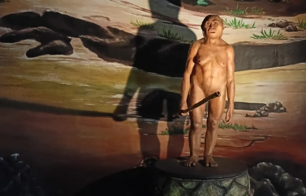 Тайна исчезновения Homo floresiensis: климатический фактор в судьбе древних "хоббитов"