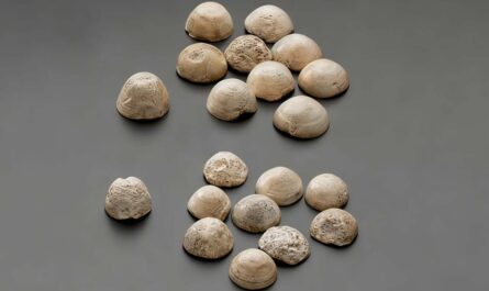 Игральные фигурки