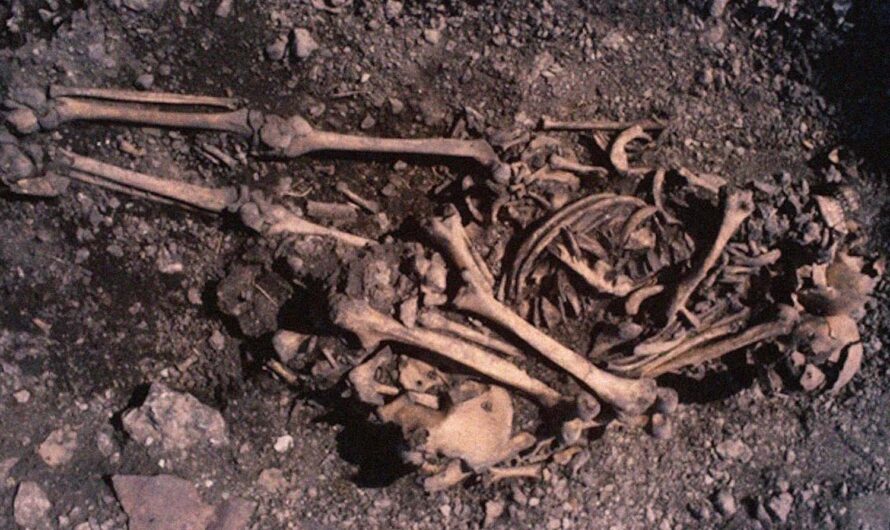 Археологи нашли 5500-летнее захоронение девочки с костями ее отца